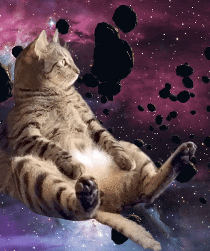 giphy-Oct-18-2024-08-21-44-6601-PM